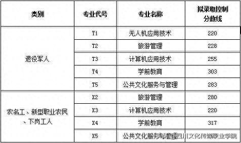 成绩查询2019年退役军人等群体人员招生考试成绩查询及拟录取名单