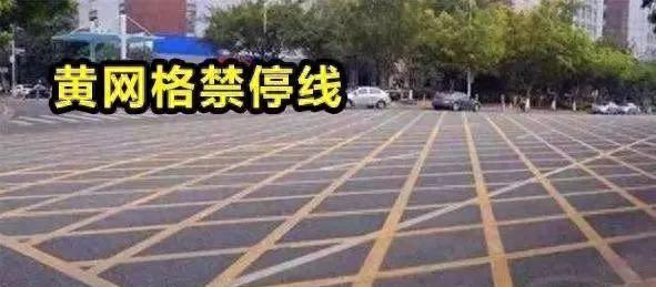 「曝光台」这些“违反禁止标线”的车！是您的吗？