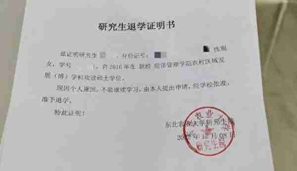 “研究生上岸却不读”现象频发，放弃读研去工作，真的值得吗？