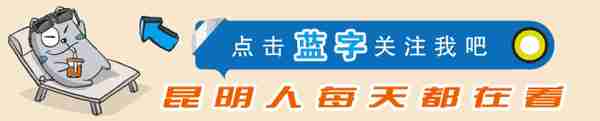 招520人！昆明这家企业招聘，涉及专业众多 近三年毕业均可